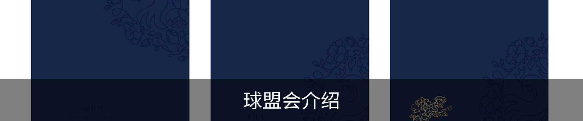 球盟会介绍